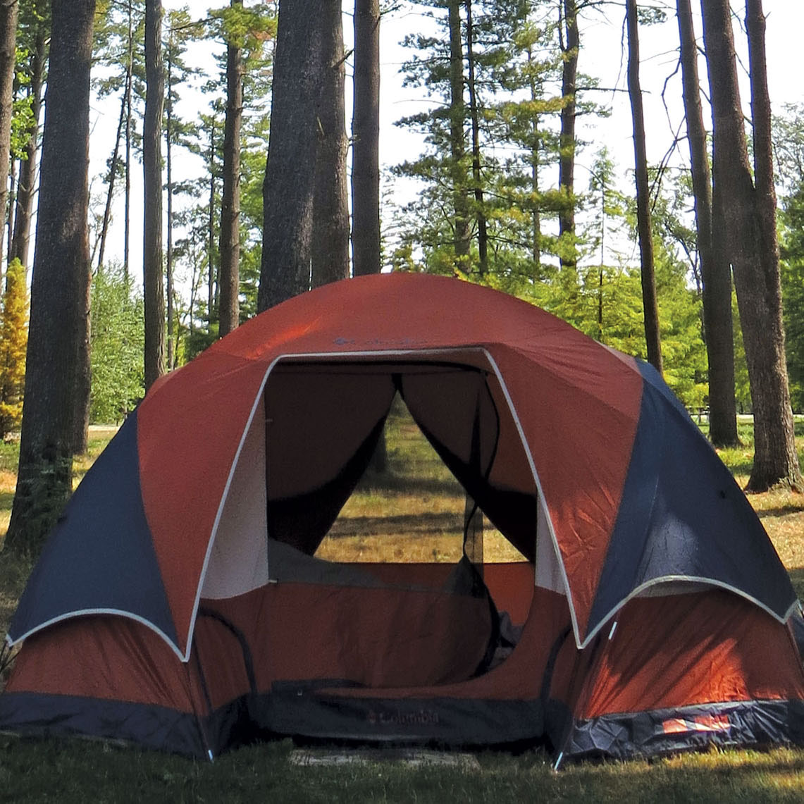Camping thumbnail - tent in a field