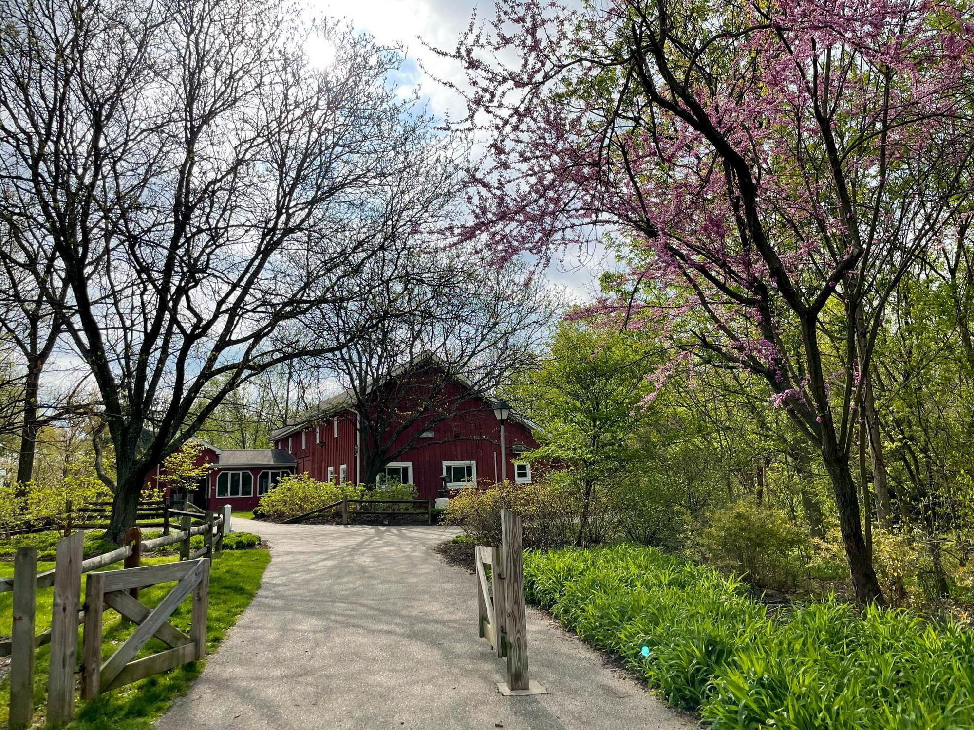a path leading to a red building