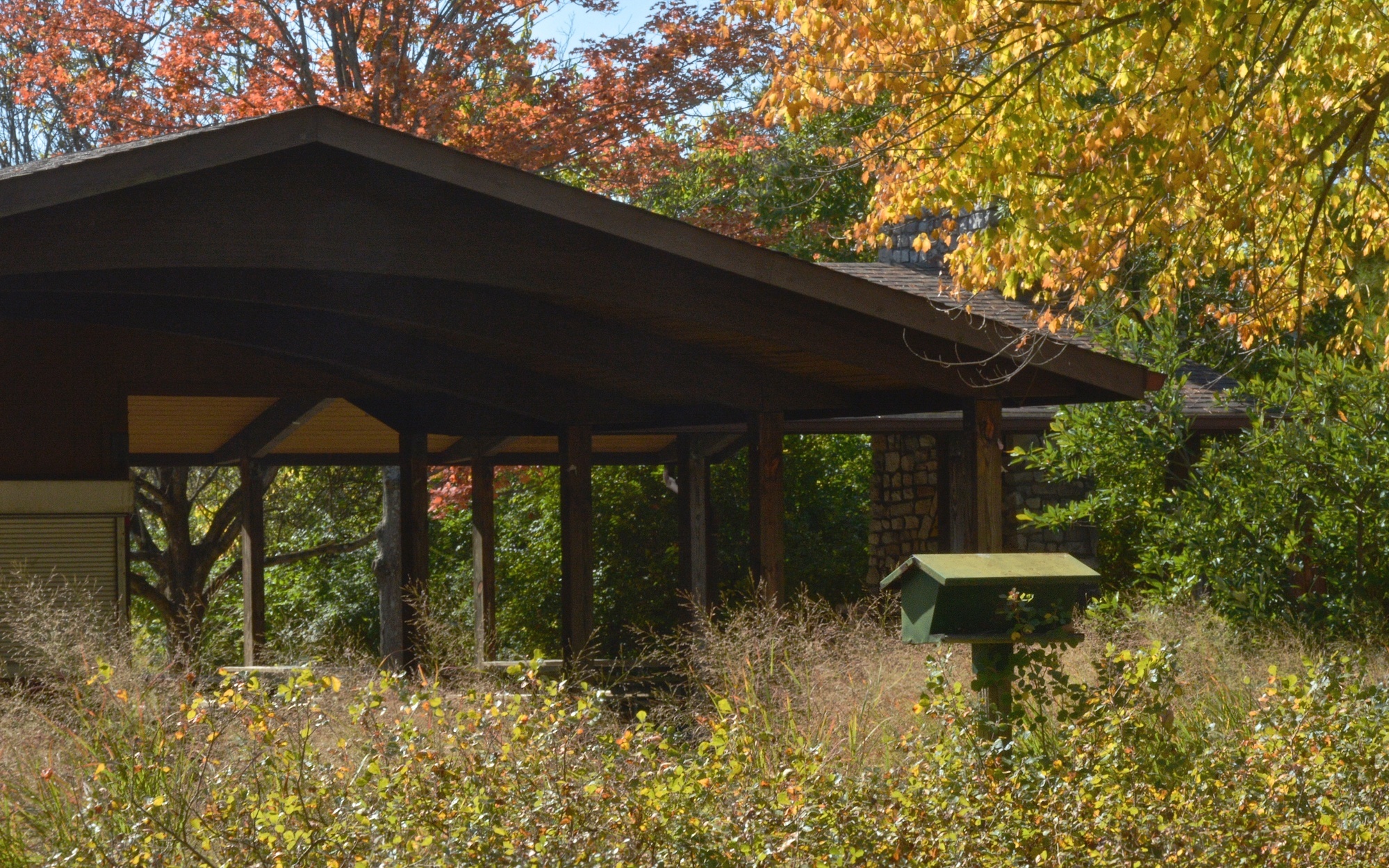 picnic shelter