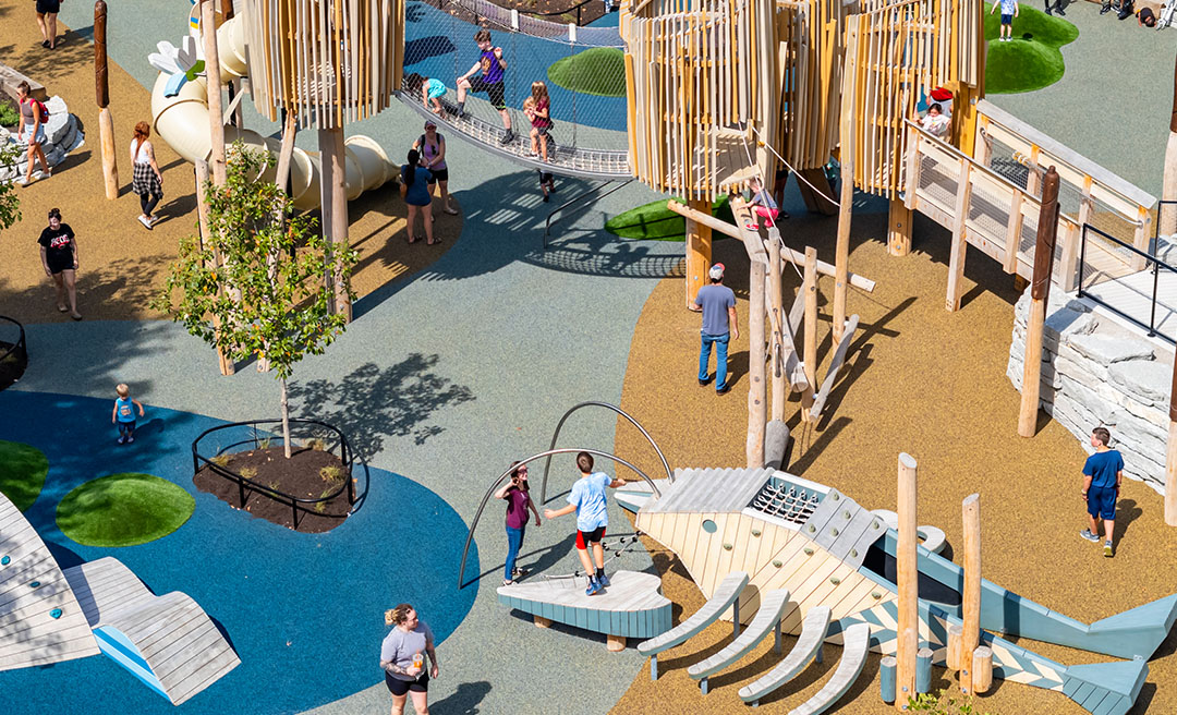 a group of people at a playground