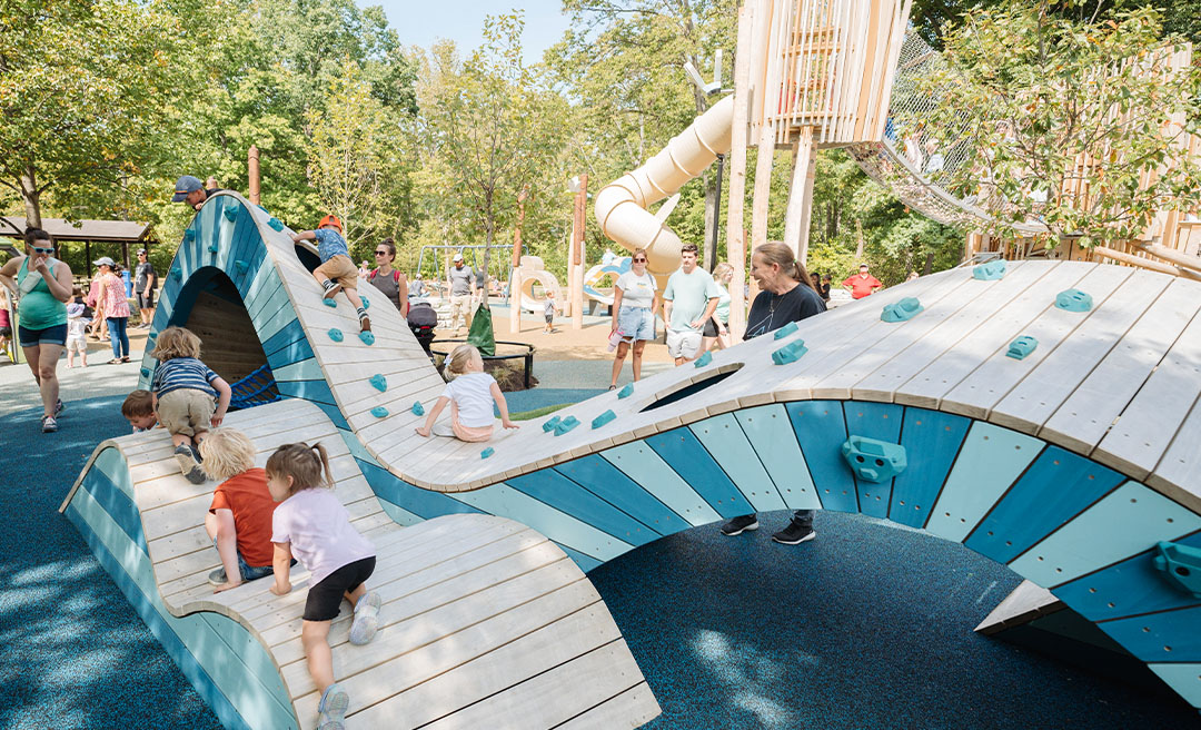 a group of kids playing on a playground