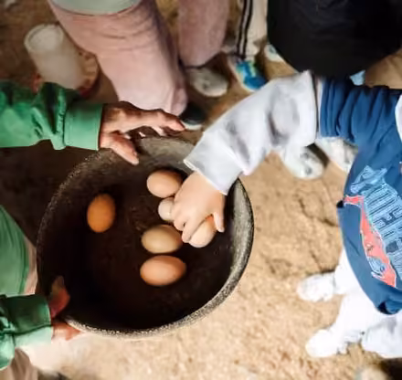 a group of people holding a bowl of eggs