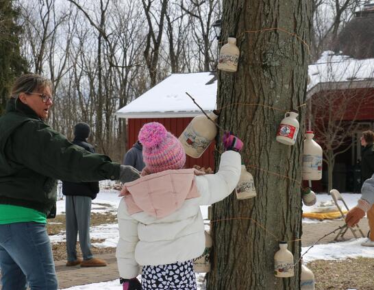 a child reaching for a tree with milk jugs on it