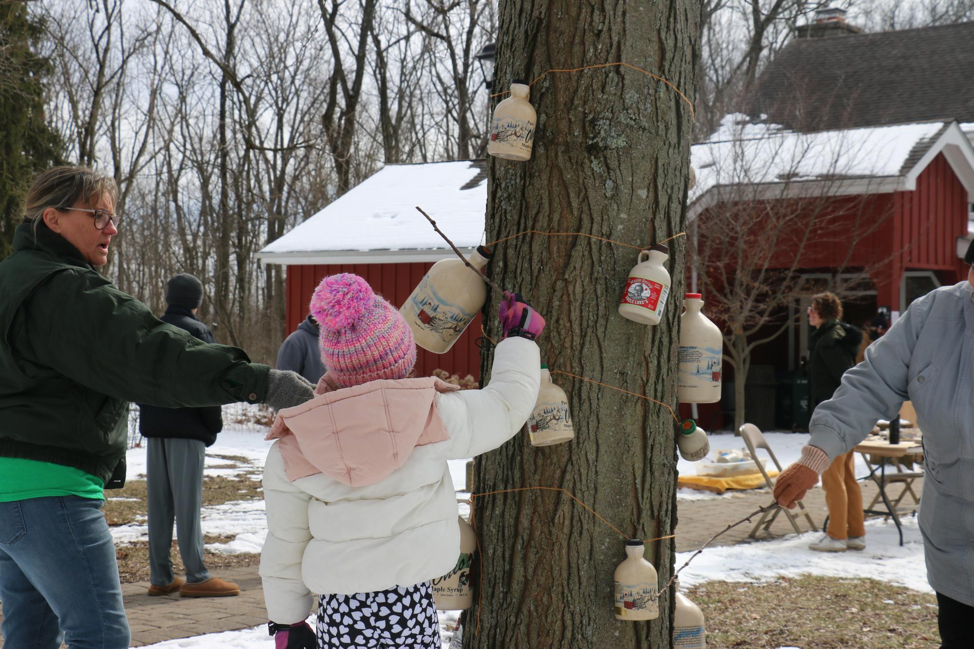 a child reaching for a tree with milk jugs on it