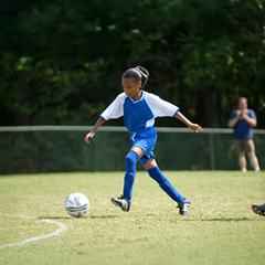 Sports Fields