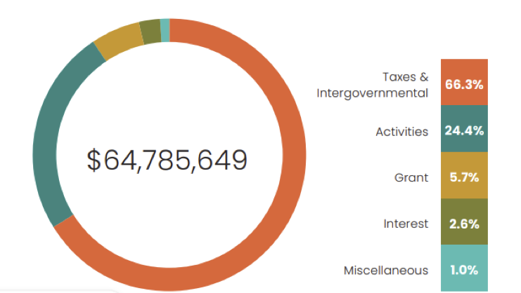 Levy Budget Pie Chart