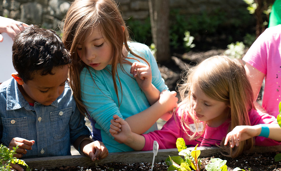 a group of children looking at plants