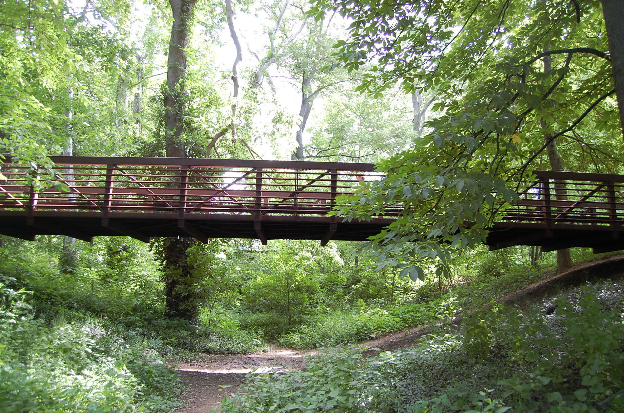 Bridge on the Fernbank Park Shared-use Trail