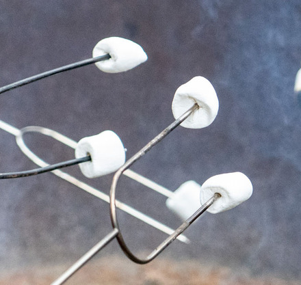 marshmallows on a stick being roasted on a stick