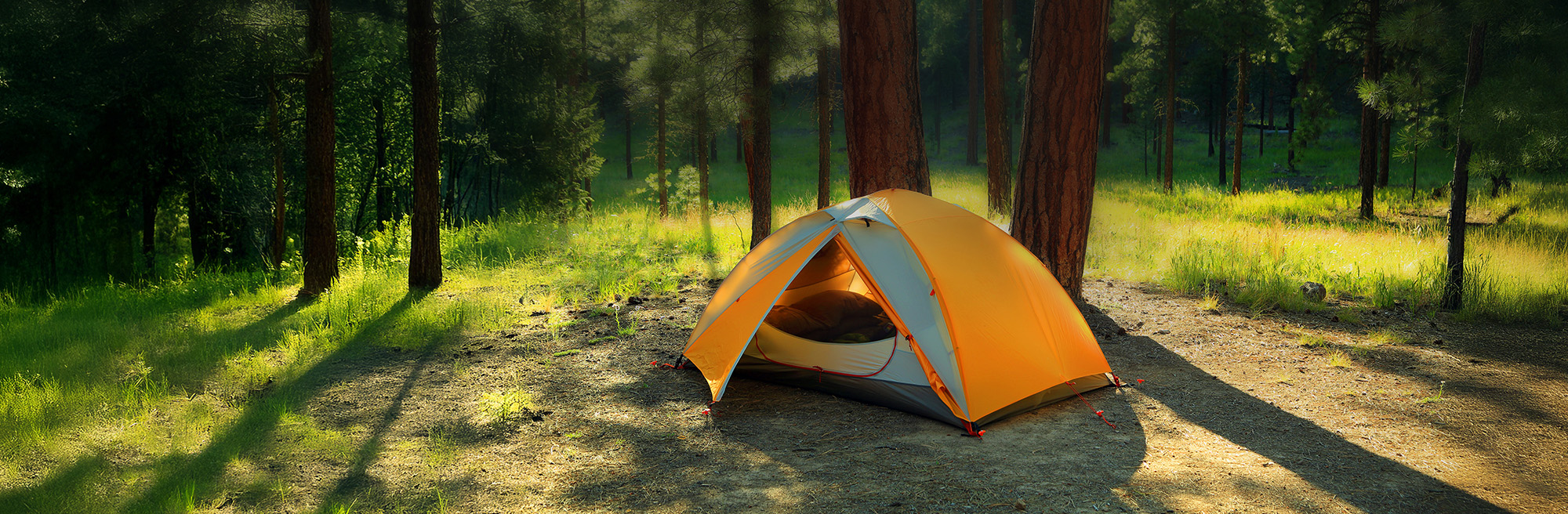 The campgpround at Miami Whitewater Forest