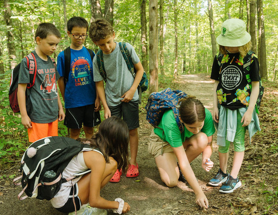 Children with an interpreter at a Great Parks Day Camp