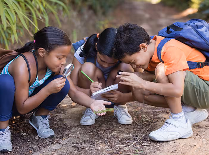 Group of children looking at a bough through a magnifying glass