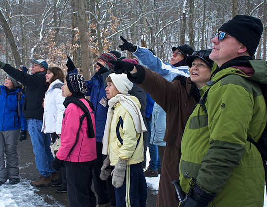 a group of people standing in a line pointing at something