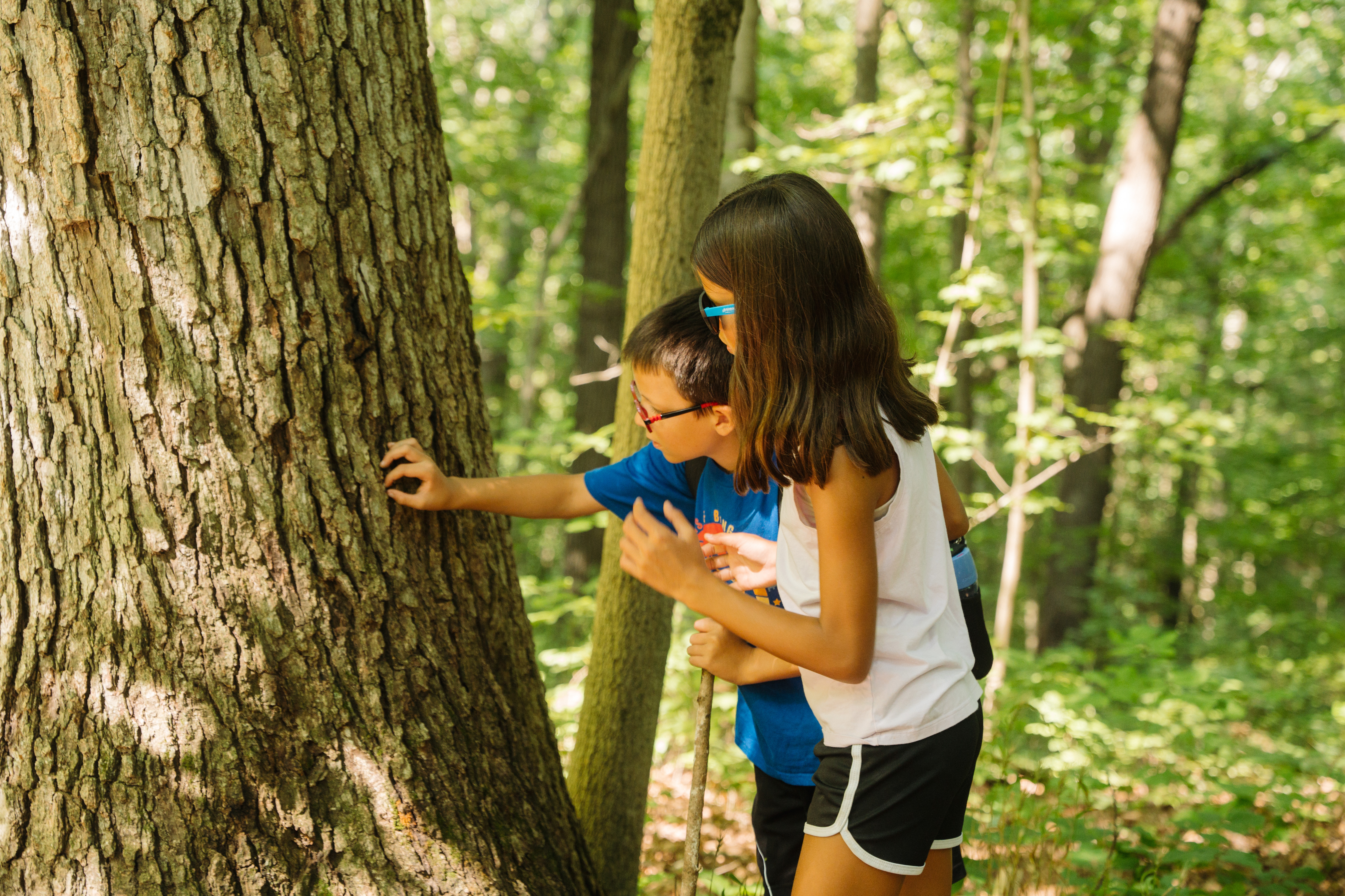a boy and girl touching a tree