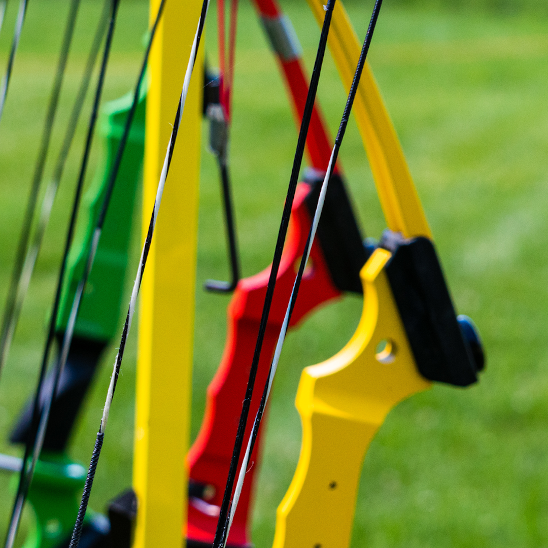 a close up of a bow