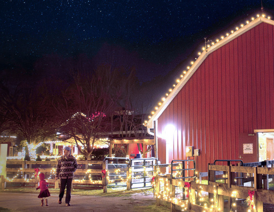 Father and child exploring at Holidays on the Farm