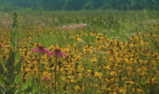 Bow Hunting Tile Image