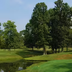 a golf course with a pond and trees