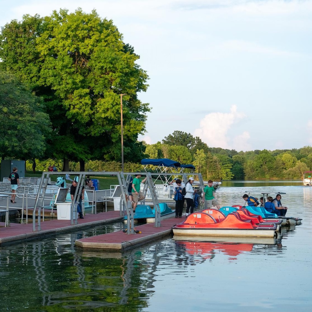 people on a dock with pedal boats