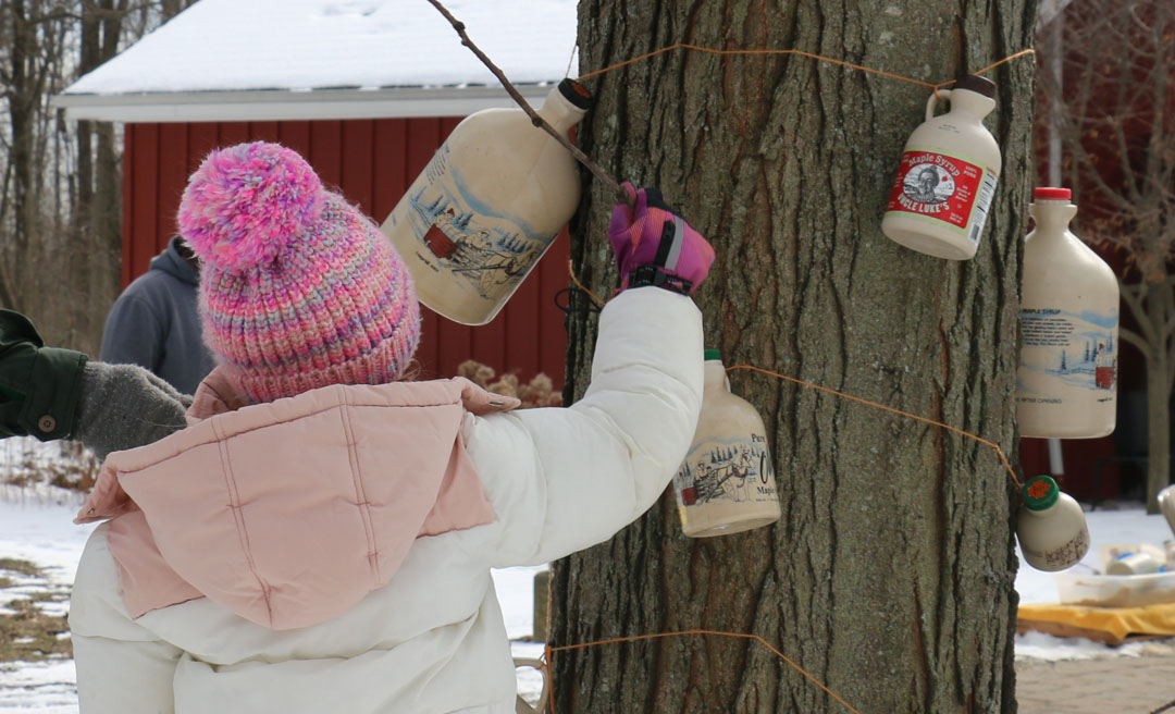 a child holding a tree with jugs on it