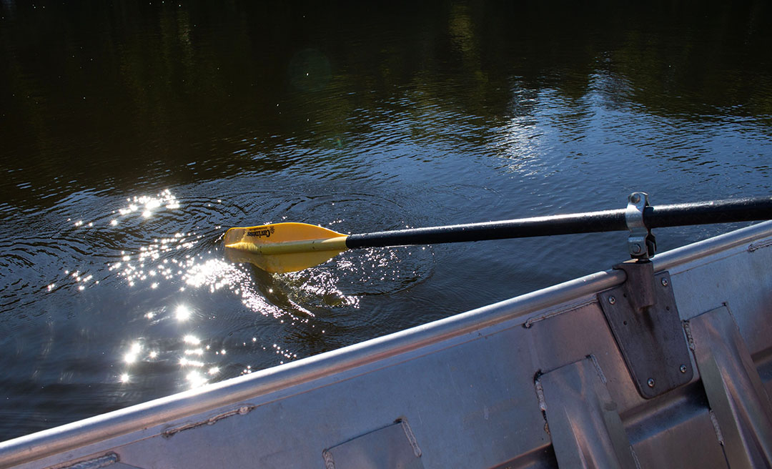 a paddle in the water