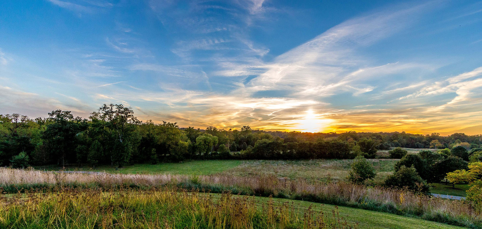 A view of the prairie at Glenwood Gardens