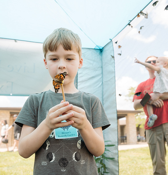 Child with a monarch butterfly on a sap stick
